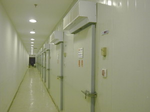 冷库 冷库
