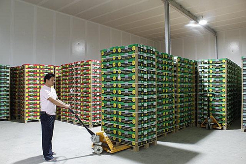 氣調(diào)庫 氣調(diào)庫